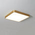 Plano Ceiling Light